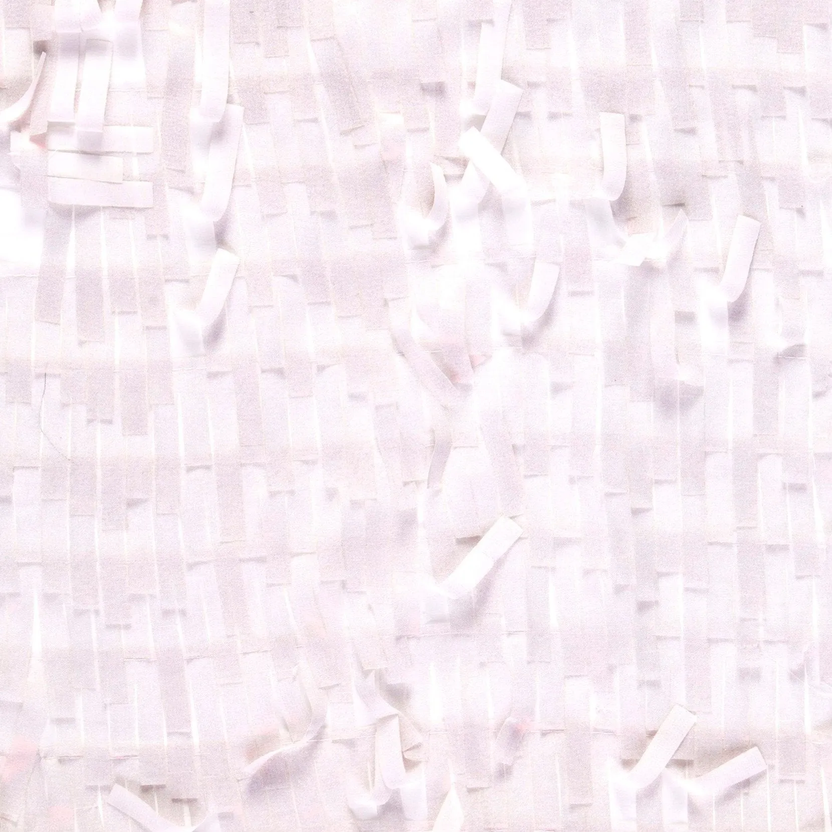 3D Fringed Design Hologram Trim Chiffon Embroidery Fabric