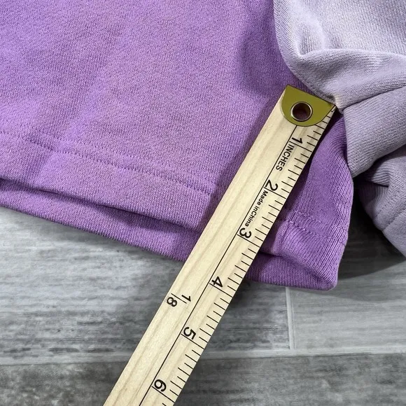 Air Jordan Bi-Color Terry Fleece Shorts Lilac Purple DX0391-532 Women's Medium