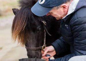 Alan Davies' Pony Fine Clean