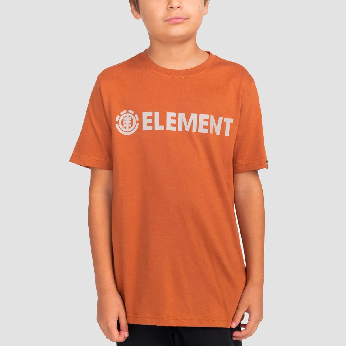 Element Blazin T-Shirt Mocha Bisque