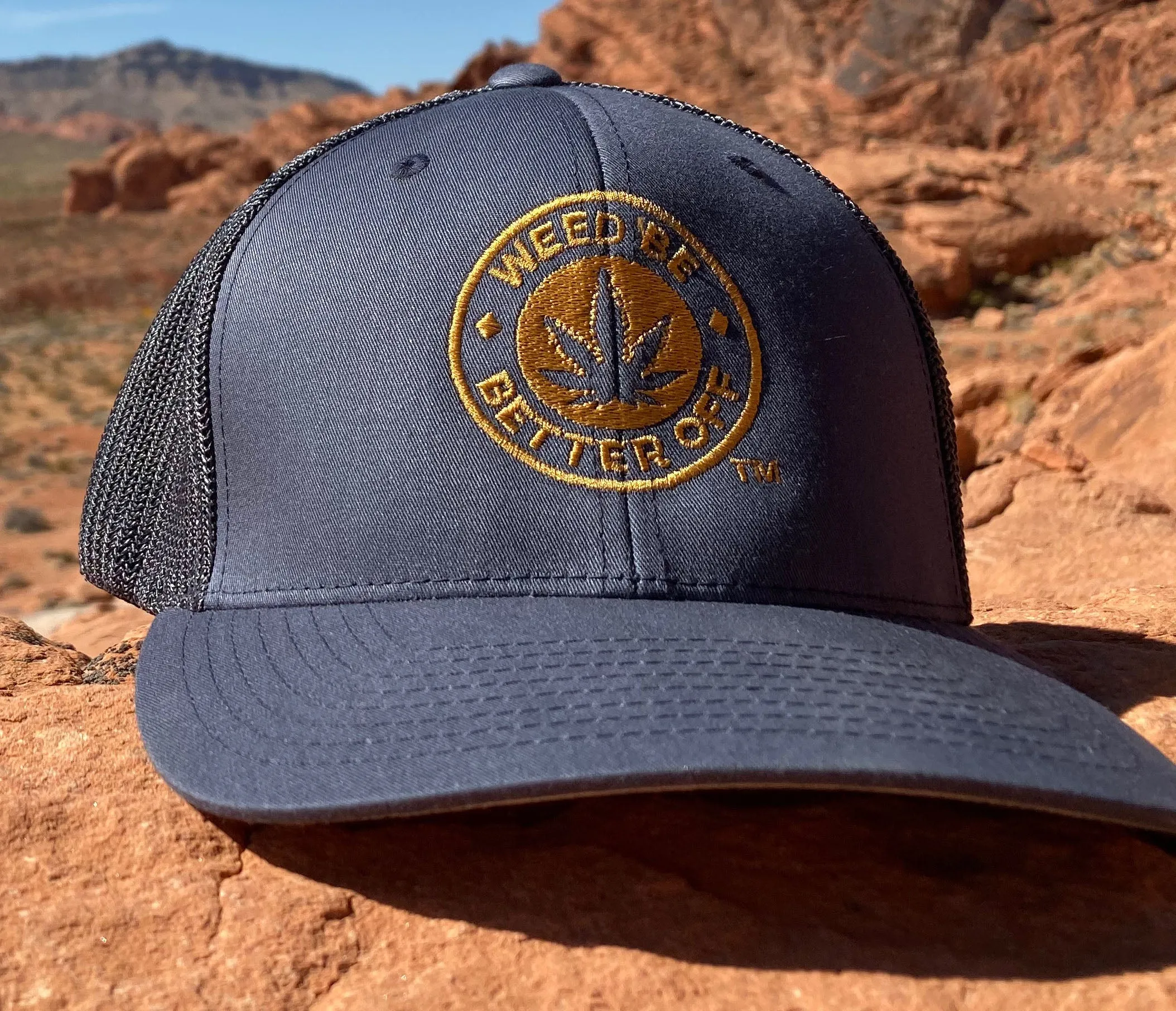 Flexfit Cap