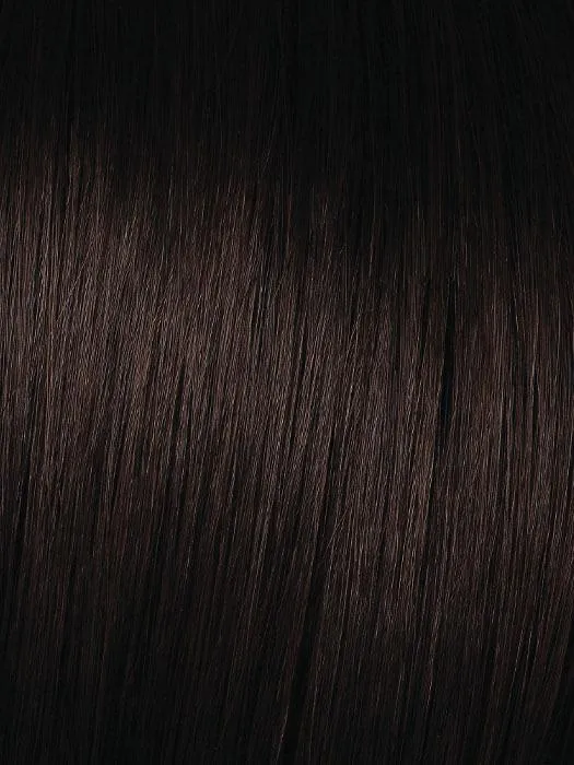 Layered Appeal | Synthetic Wig (Basic Cap)