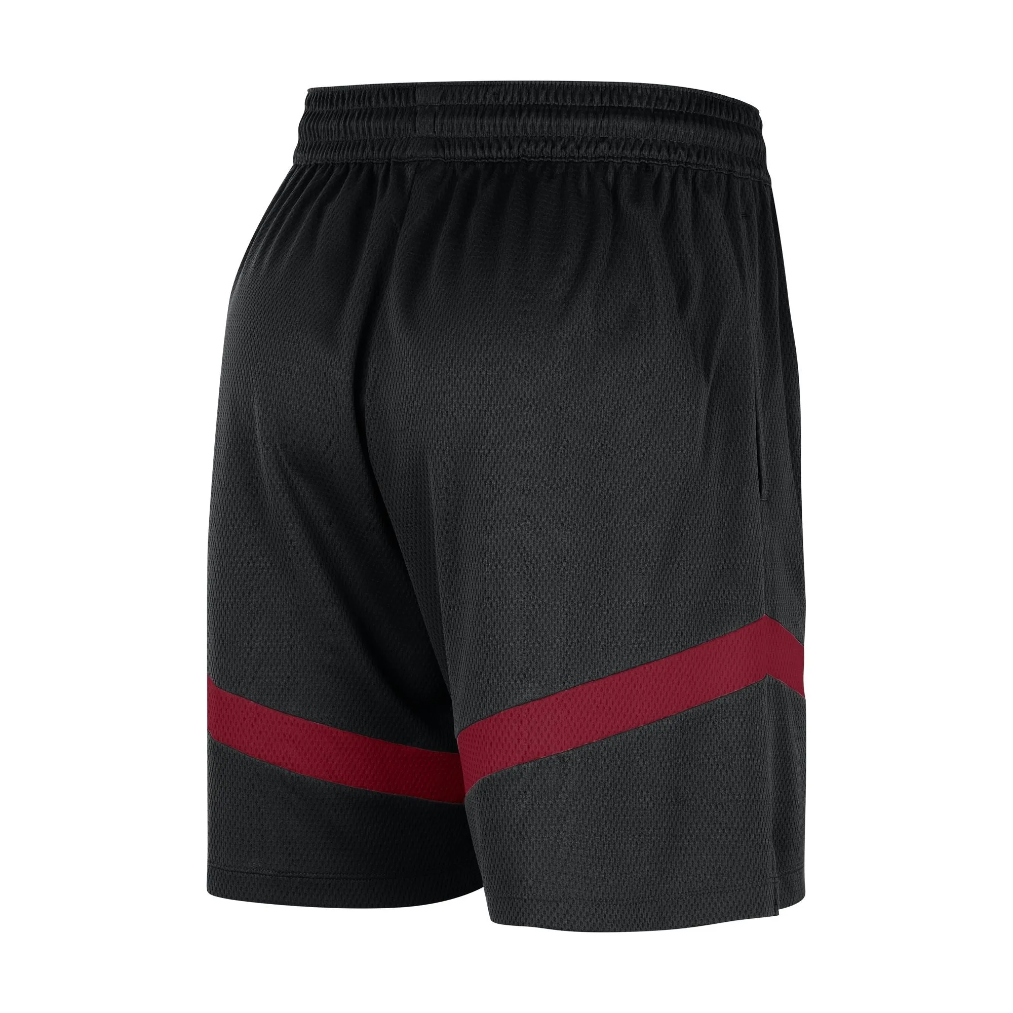 Nike Miami HEAT Icon Practice Shorts