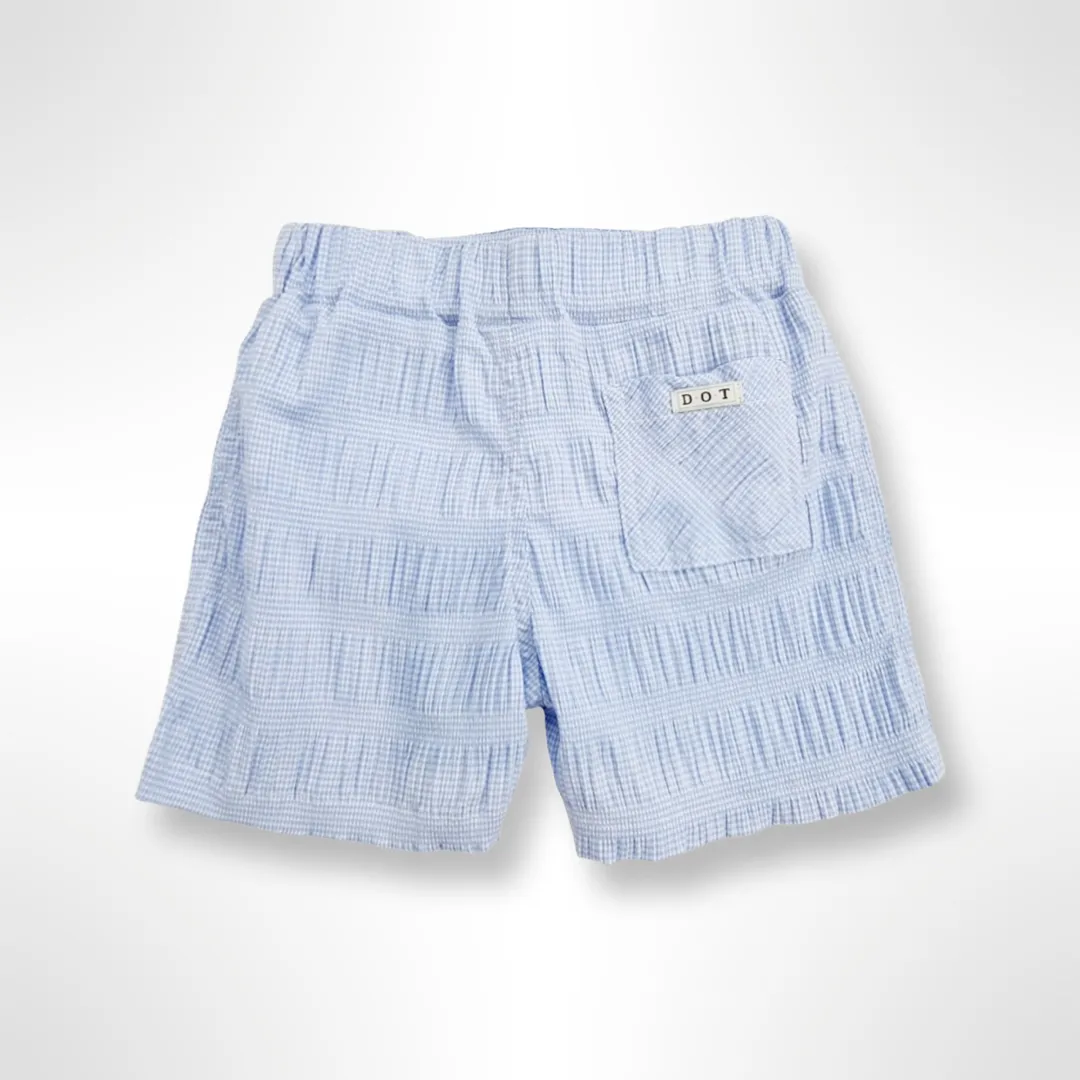 Portofino Collection - Blue and White Check Swim Shorts
