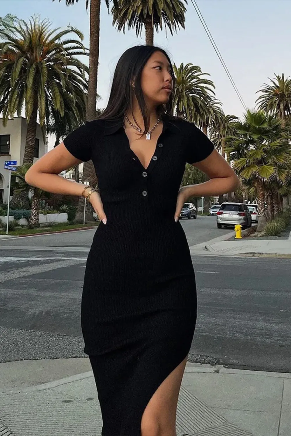 SACHA | ELEGANT DRESS