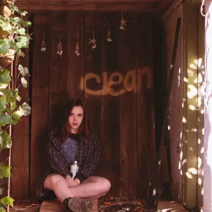 SOCCER MOMMY 'Clean' LP